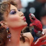Urvashi Rautela- Cannes 2025