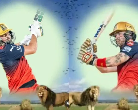 Tim David’s Lion King Edit