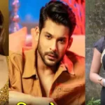 Bigg Boss Stars Whose Light Was Lost Too So