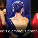 Bollywood Fit Naani