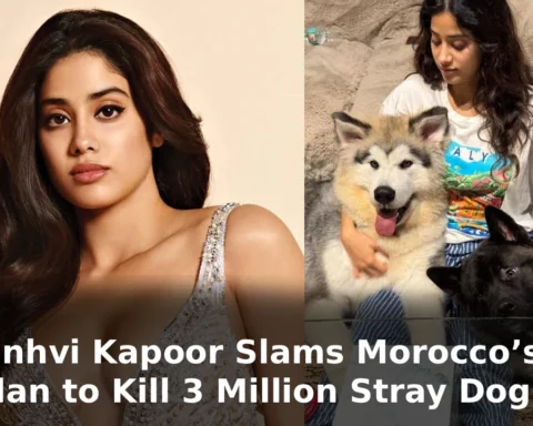 Janhvi Kapoor Slams Morocco’s Plan