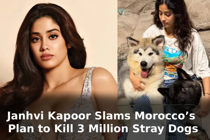 Janhvi Kapoor Slams Morocco’s Plan