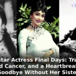 Superstar Actress Final Days