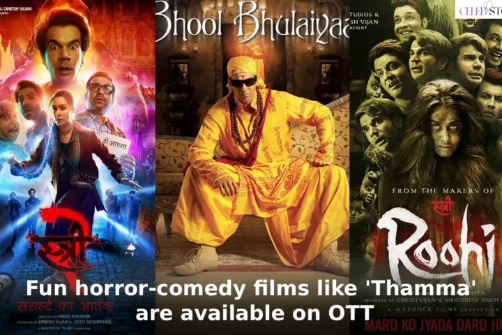 Fun horror-comedy films available on OTT